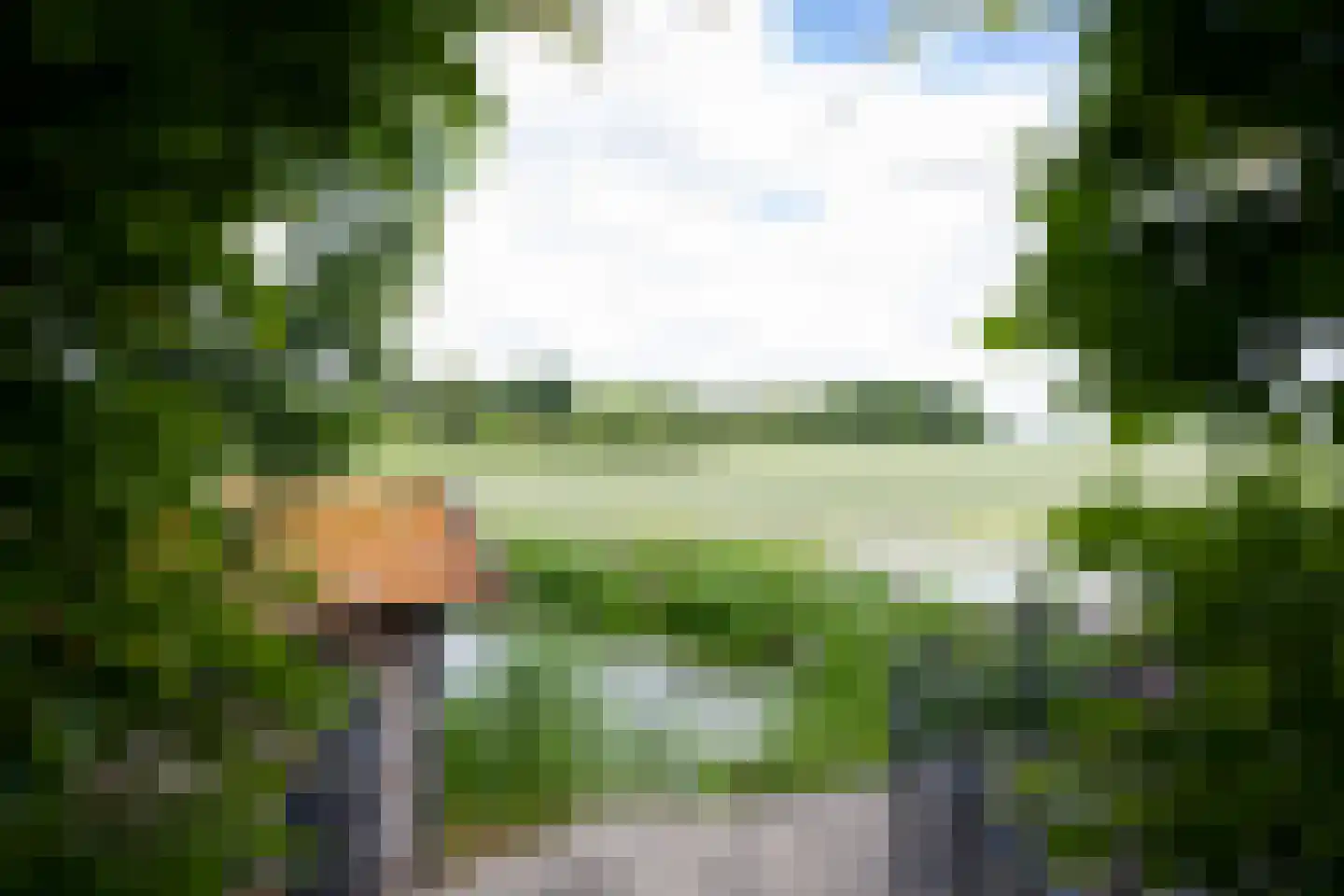 Bessie 4 Nibbixwoud thumbnail 69
