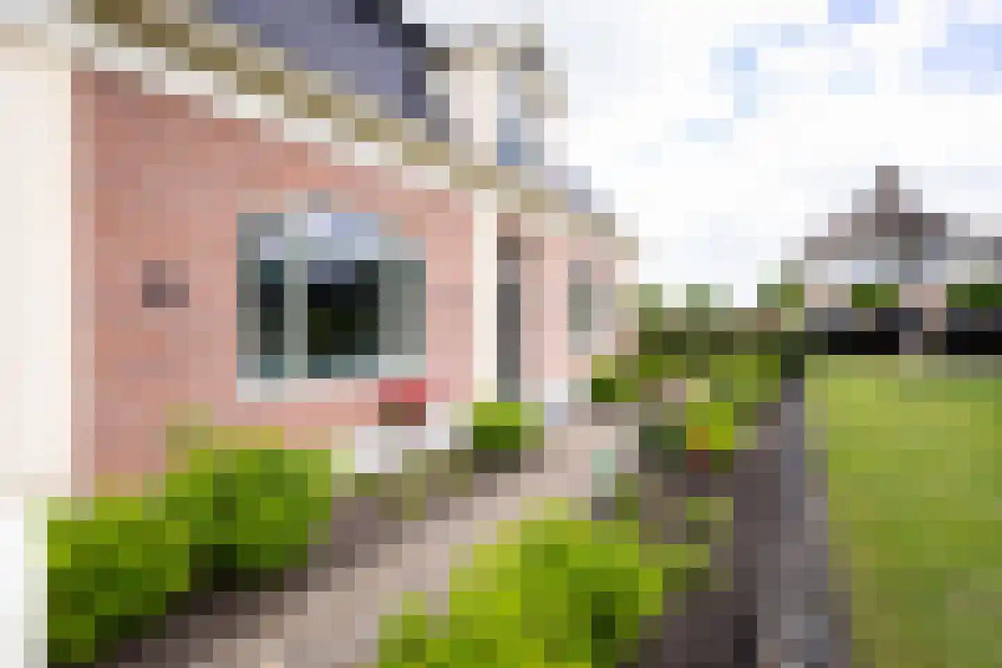 Bessie 4 Nibbixwoud thumbnail 7