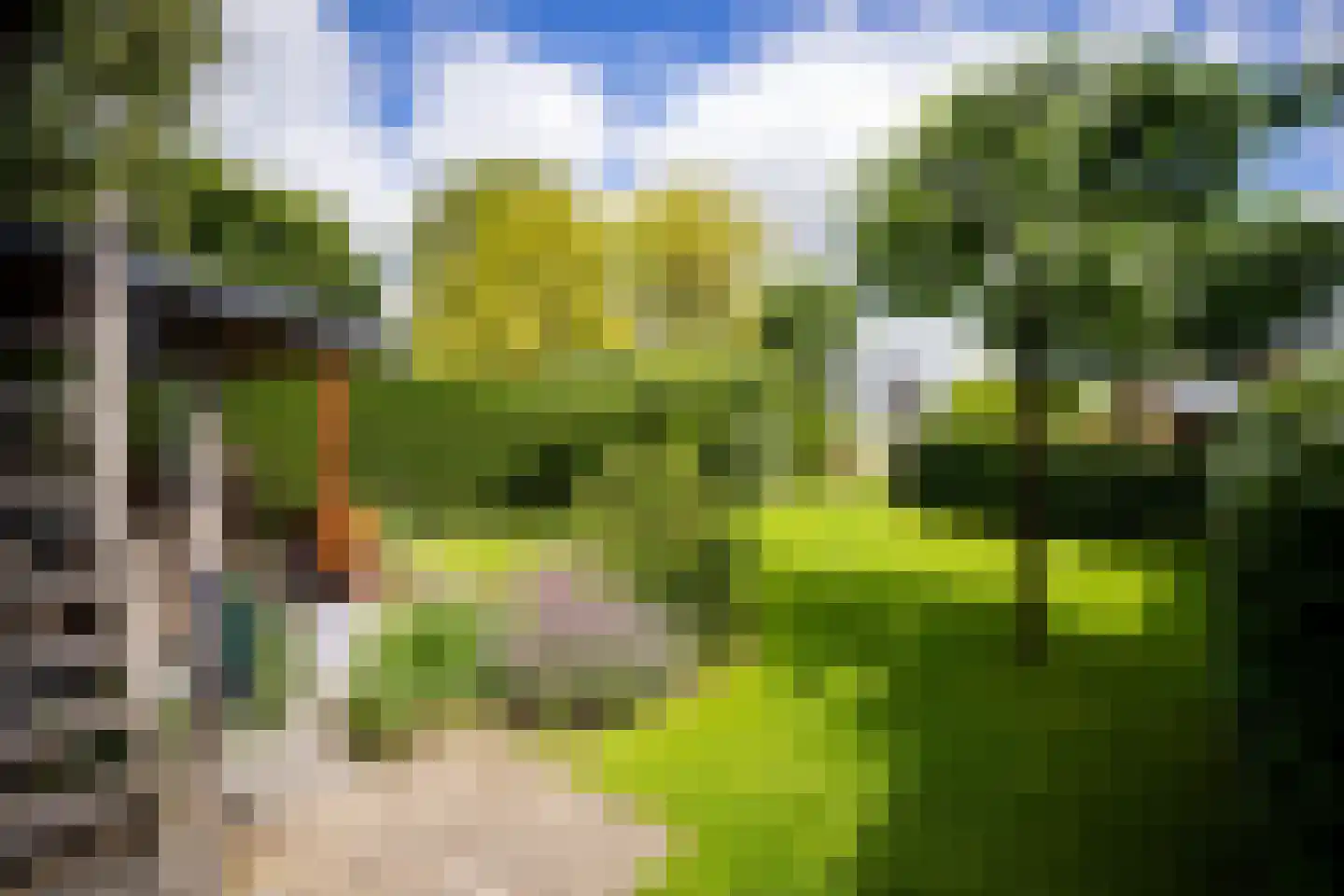 Bessie 4 Nibbixwoud thumbnail 70