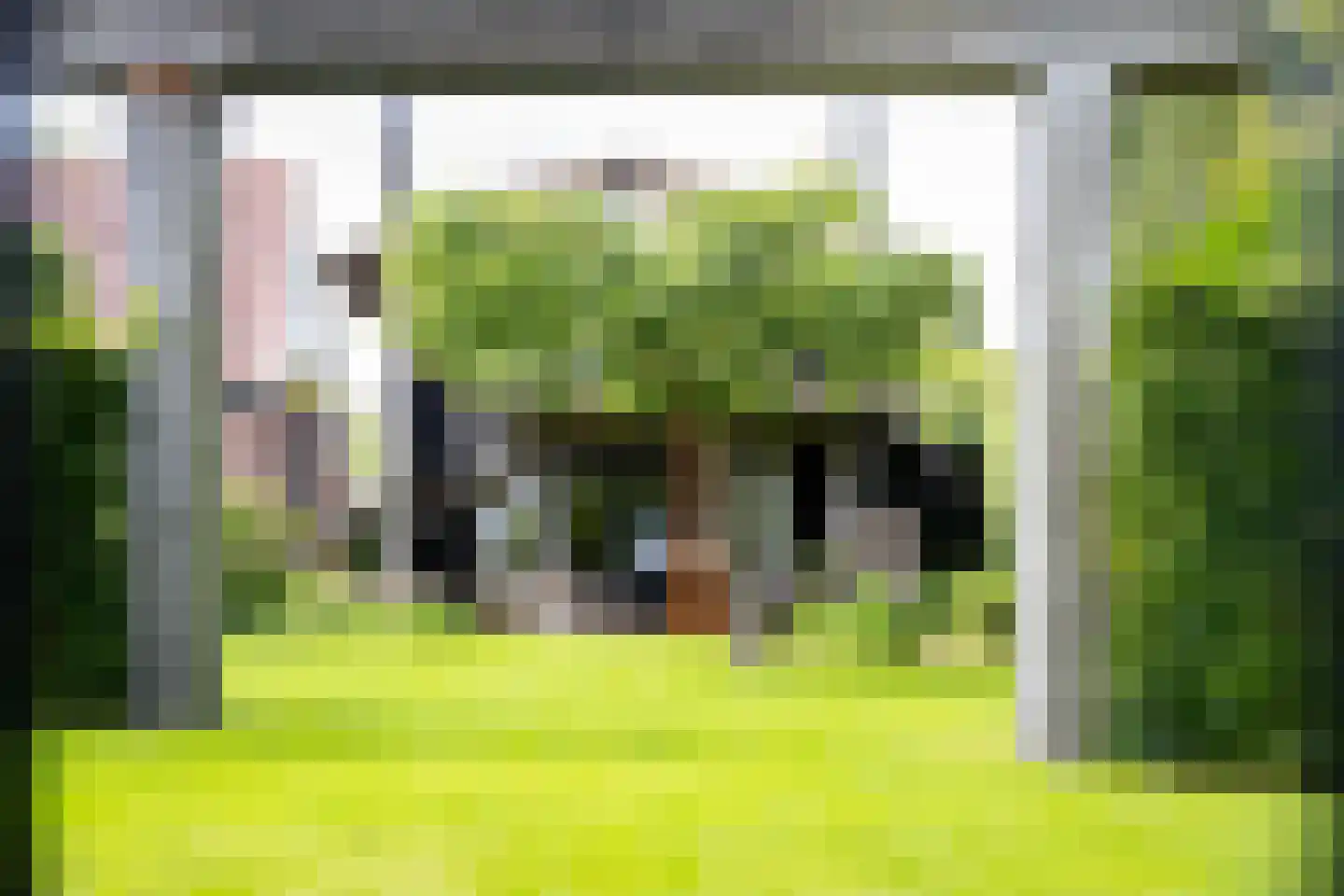 Bessie 4 Nibbixwoud thumbnail 71