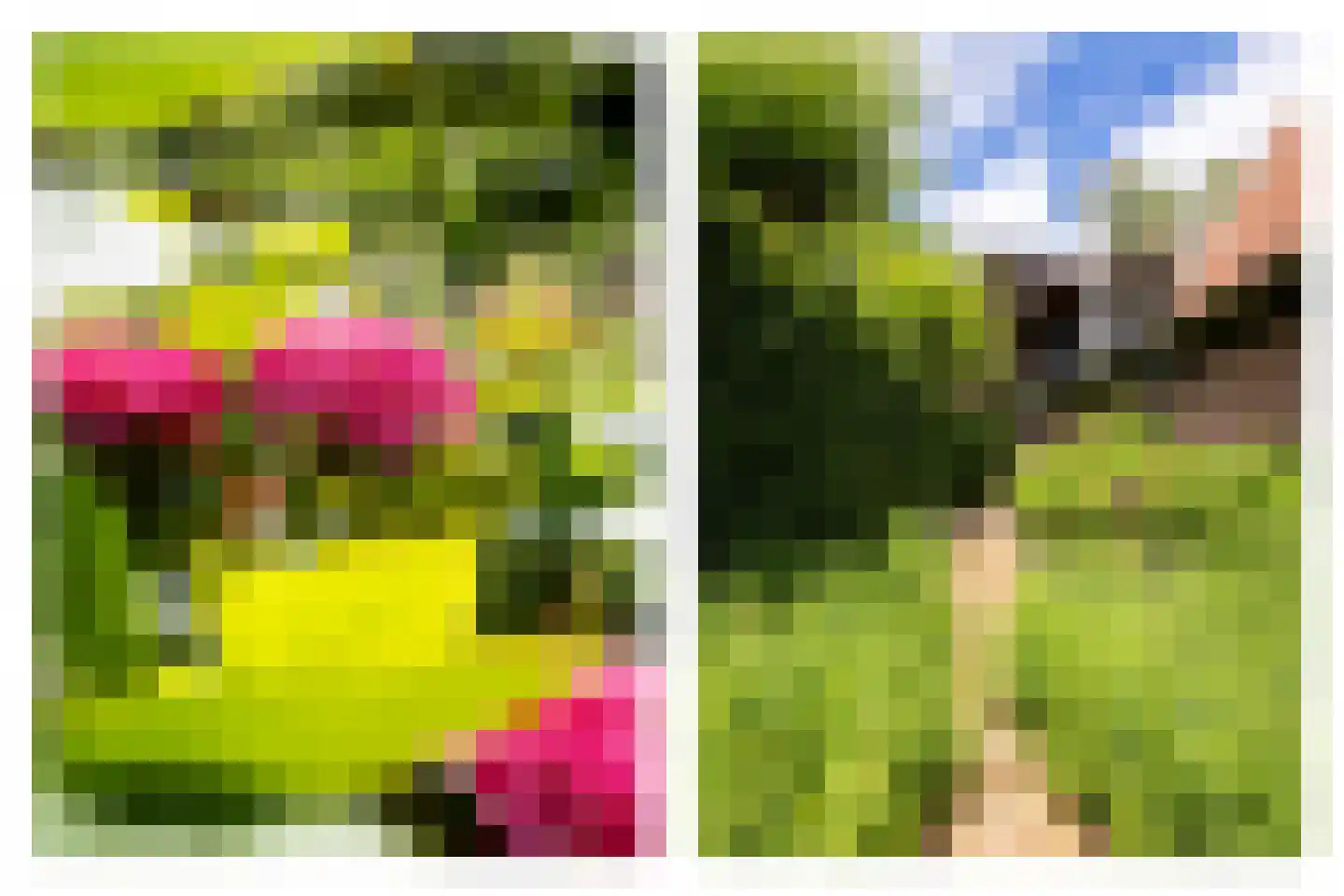 Bessie 4 Nibbixwoud thumbnail 74