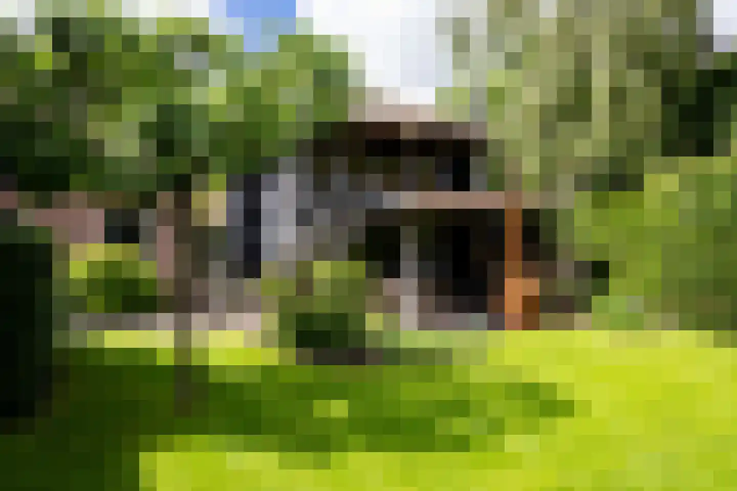 Bessie 4 Nibbixwoud thumbnail 75