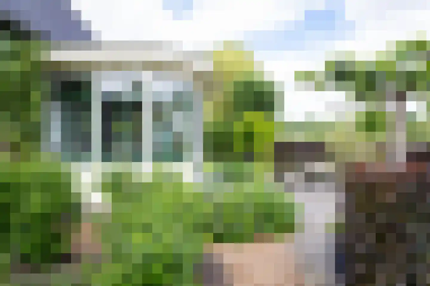 Bessie 4 Nibbixwoud thumbnail 78