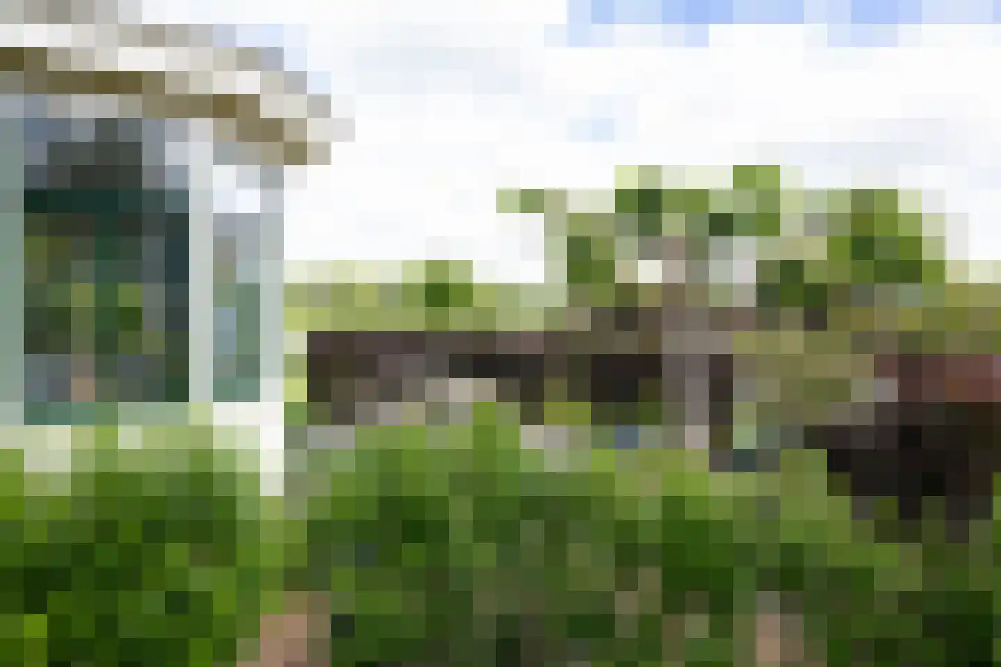 Bessie 4 Nibbixwoud thumbnail 81