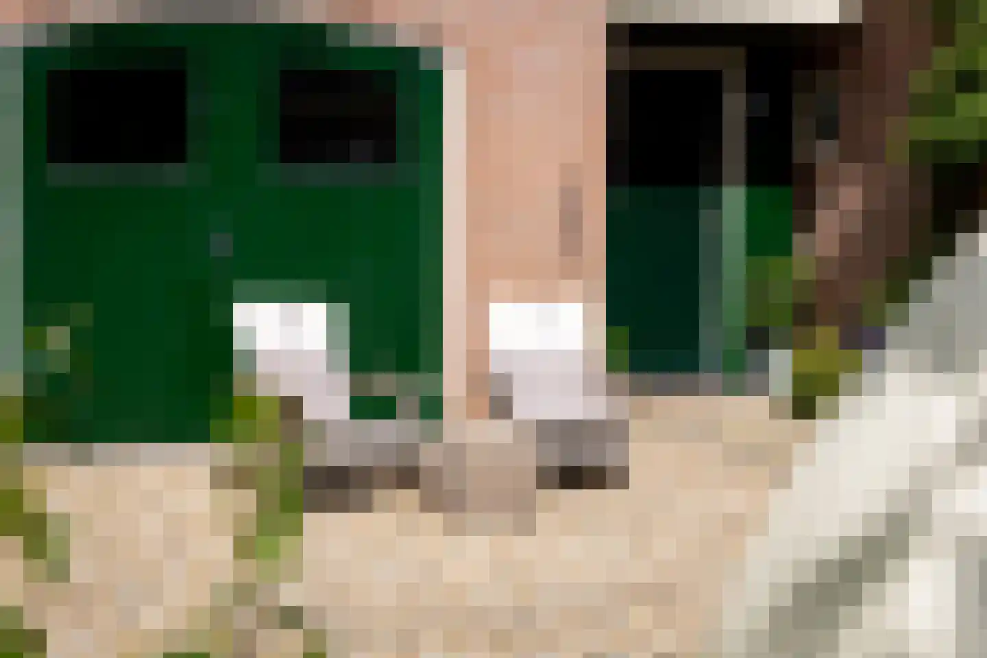 Bessie 4 Nibbixwoud thumbnail 82