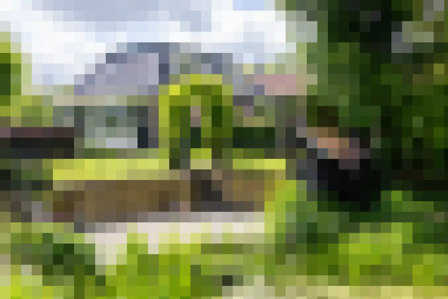 Bessie 4 Nibbixwoud thumbnail 87