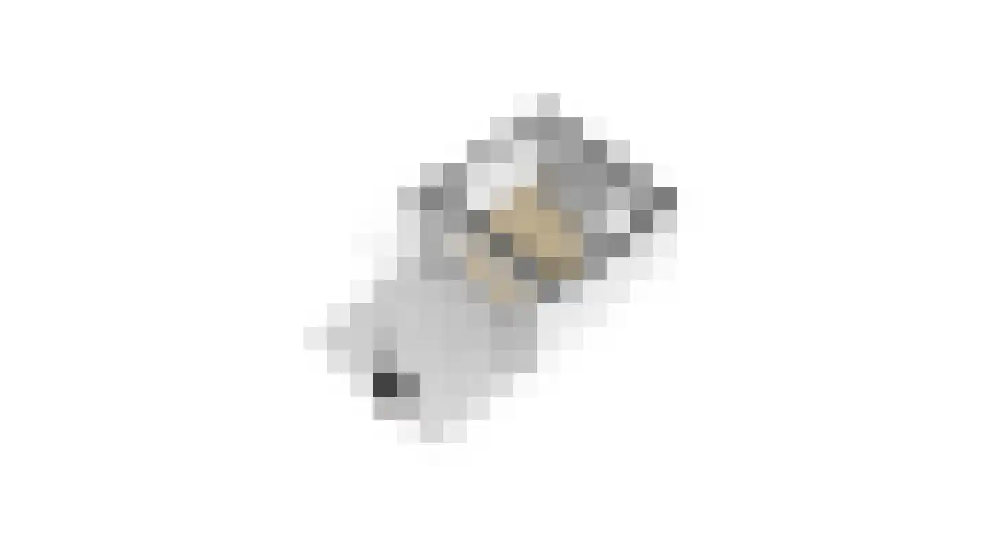 Bessie 4 Nibbixwoud thumbnail 95
