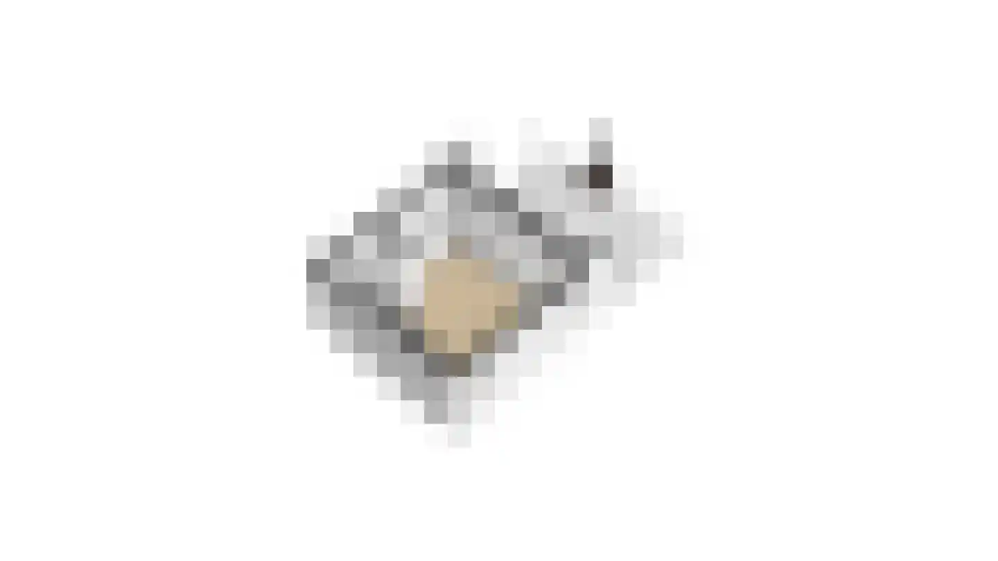 Bessie 4 Nibbixwoud thumbnail 96