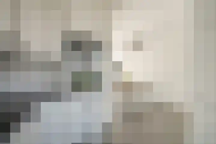 Bessie Smithrode 45 Zoetermeer thumbnail 13