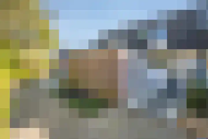 Bessie Smithrode 45 Zoetermeer thumbnail 26