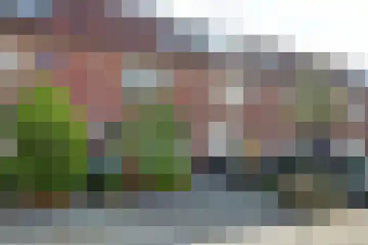 Bessie Smithstraat 6 Rotterdam thumbnail 4