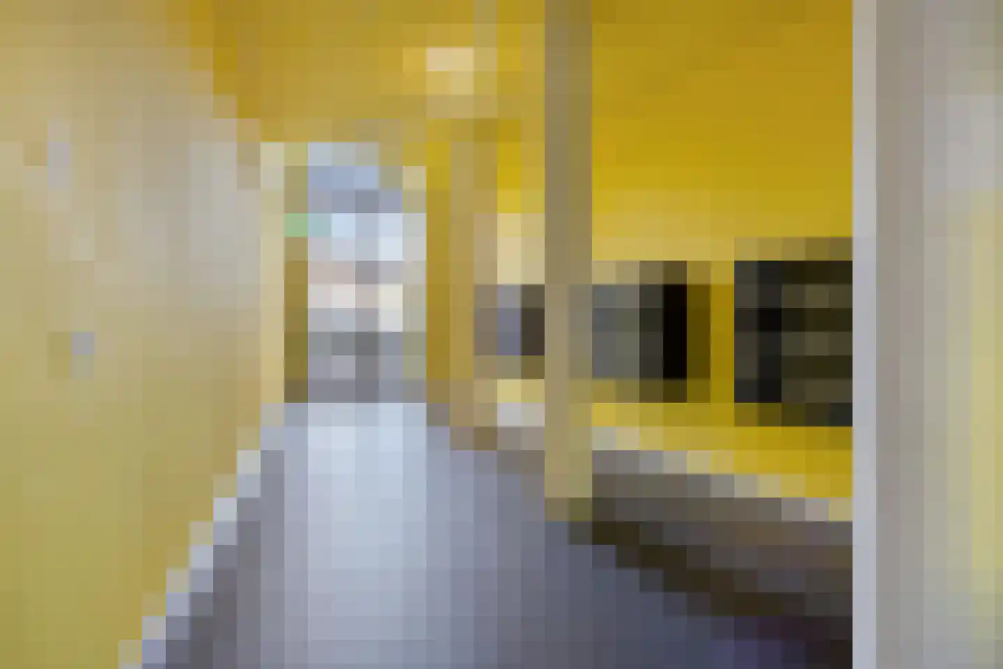 Besterdplein 25 05 Tilburg thumbnail 13