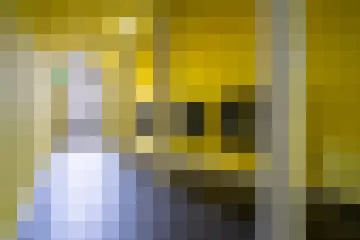 Besterdplein 25 06 Tilburg thumbnail 21
