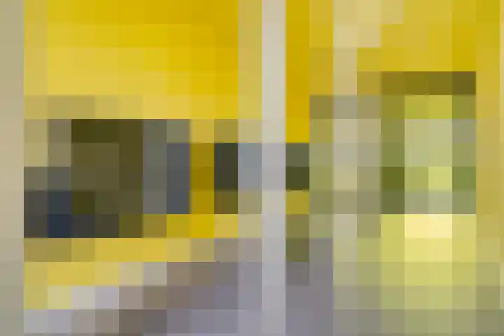 Besterdplein 27 01 Tilburg thumbnail 6