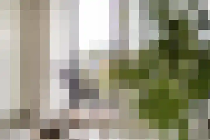 Besterdplein 27 08 Tilburg thumbnail 13