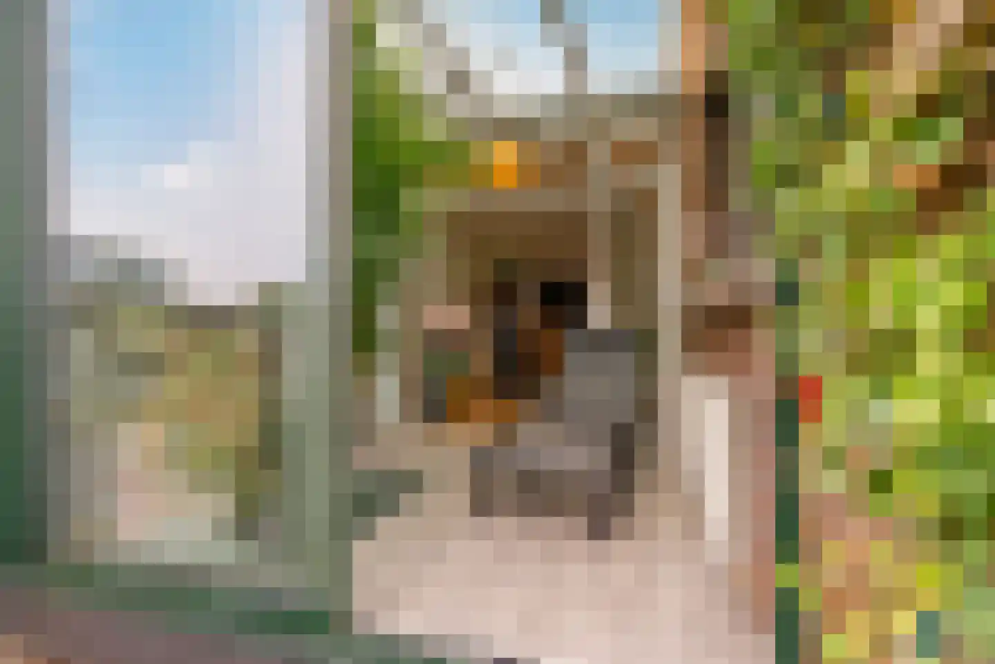 Besterdplein 34 Tilburg thumbnail 28
