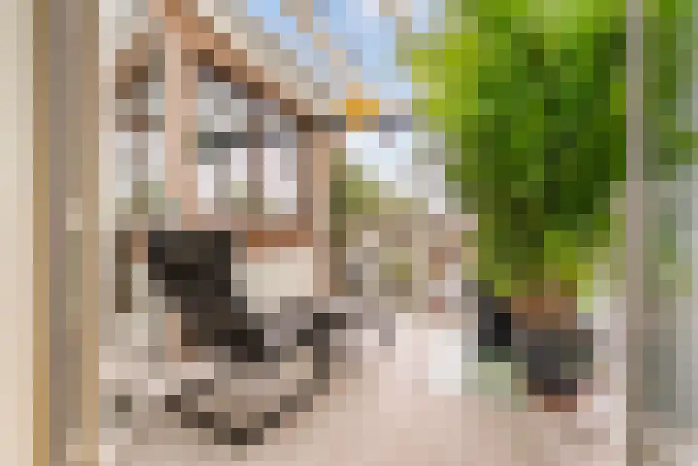 Besterdplein 34 Tilburg thumbnail 29