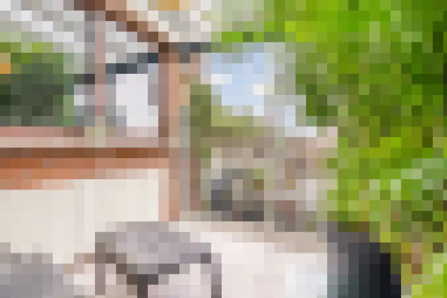 Besterdplein 34 Tilburg thumbnail 33