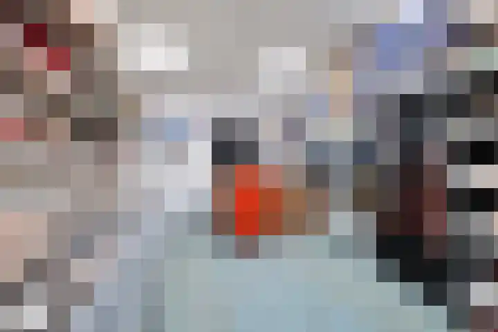 Besterdplein 39 Tilburg thumbnail 11