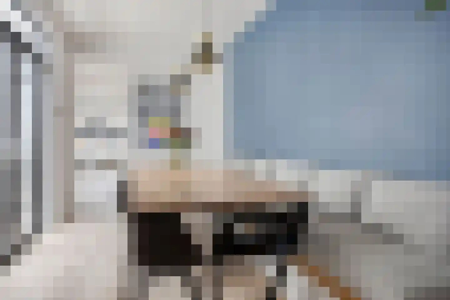 Besterdring 14 Tilburg thumbnail 12