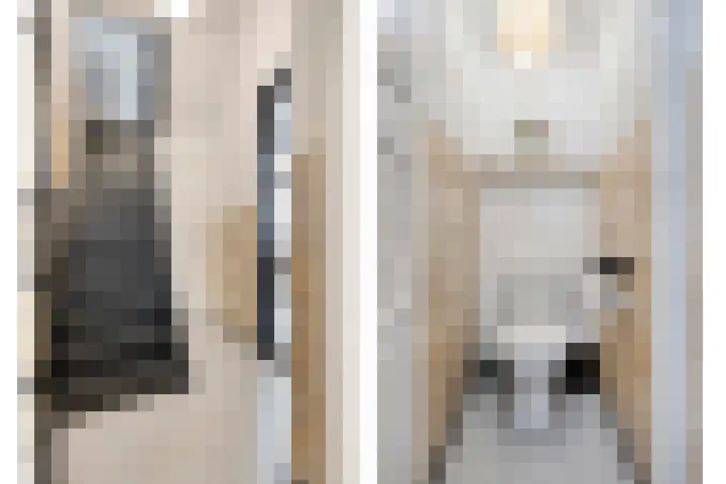 Besterdring 14 Tilburg thumbnail 4