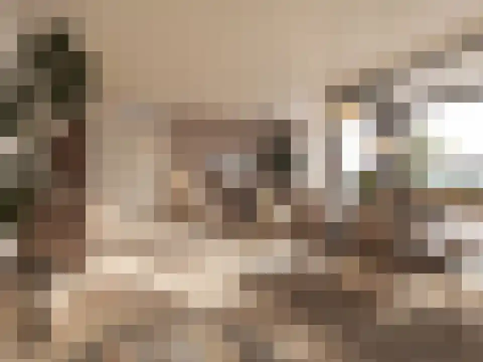 Besterdring 145 Tilburg thumbnail 16