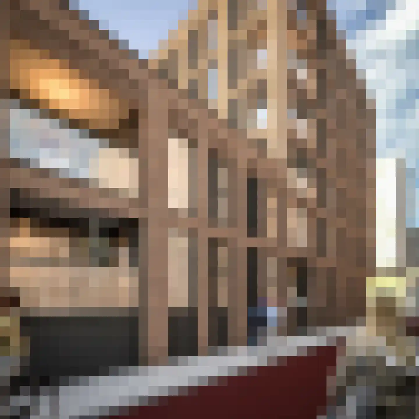 Besterdring 145 Tilburg thumbnail 8