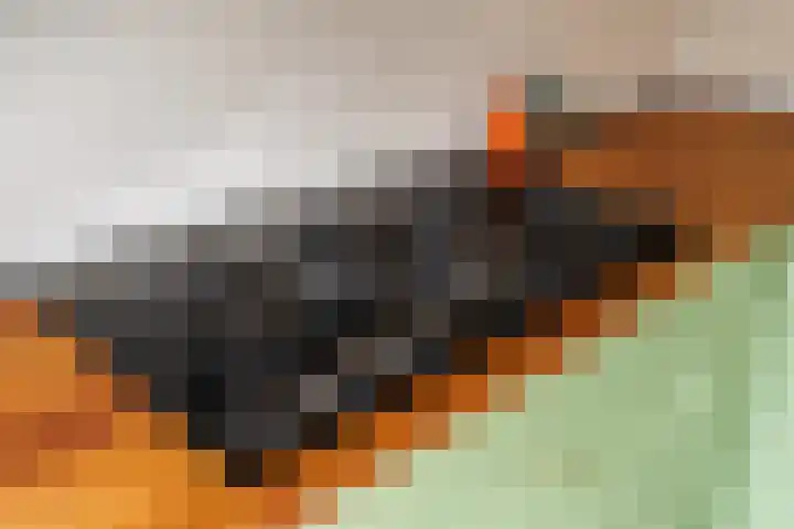 Besterdring 15 Tilburg thumbnail 17