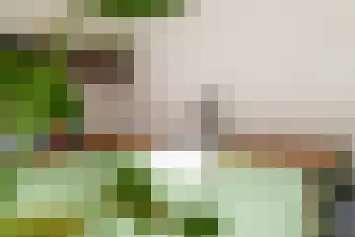 Besterdring 15 Tilburg thumbnail 18