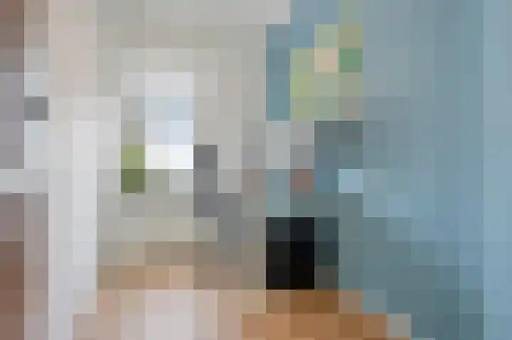 Besterdring 15 Tilburg thumbnail 25