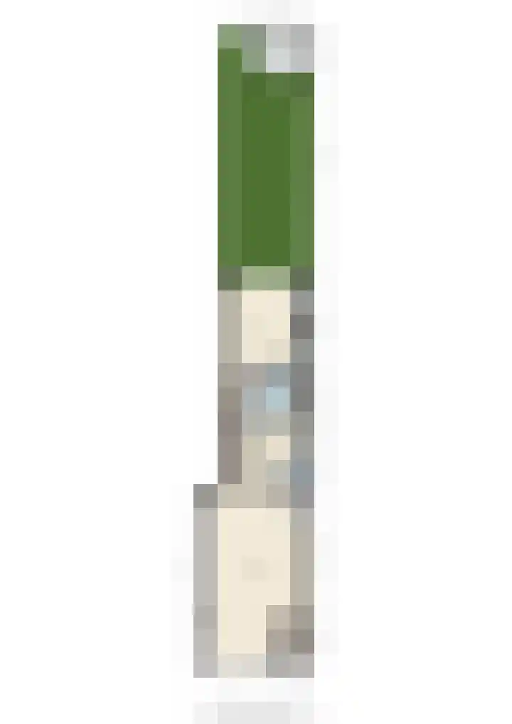 Besterdring 15 Tilburg thumbnail 32