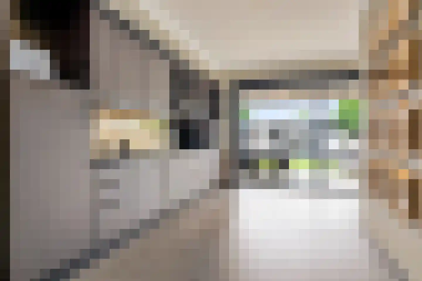 Besterdring 173 Tilburg thumbnail 11