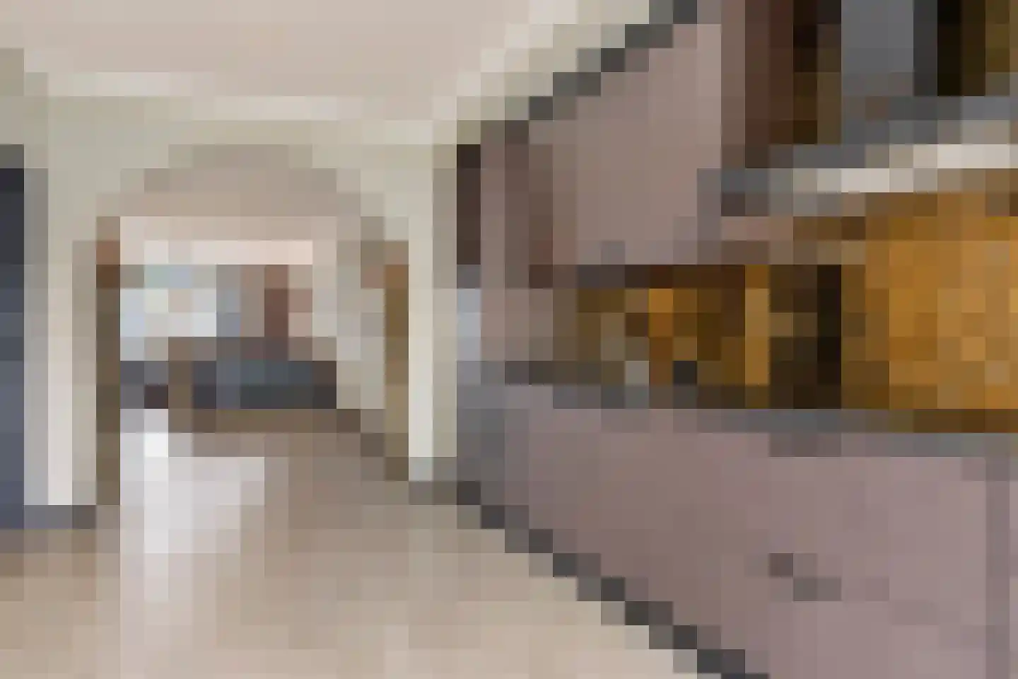 Besterdring 173 Tilburg thumbnail 12