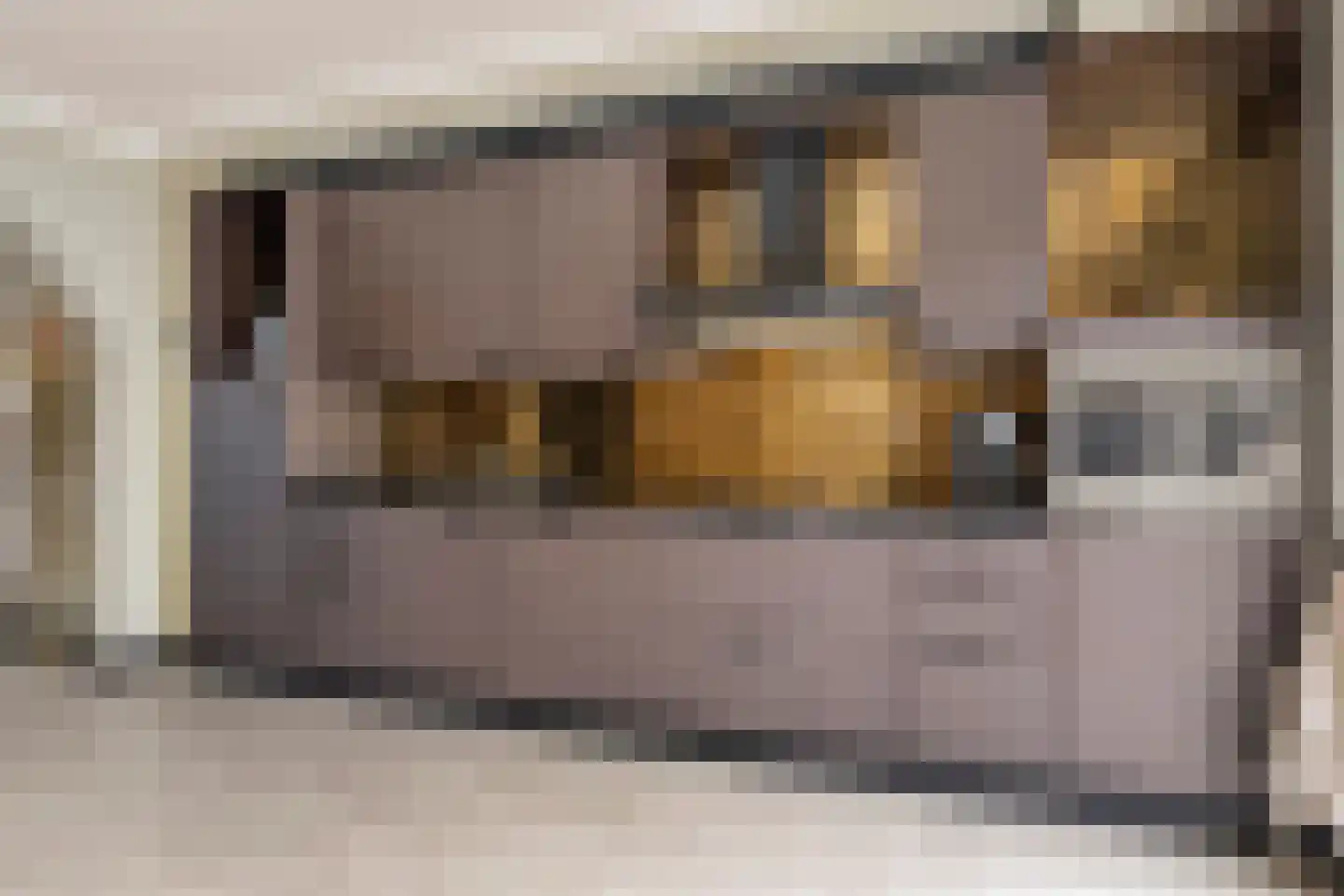 Besterdring 173 Tilburg thumbnail 13