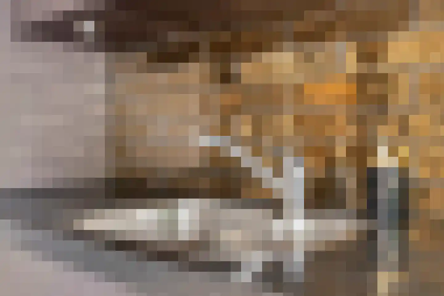 Besterdring 173 Tilburg thumbnail 14
