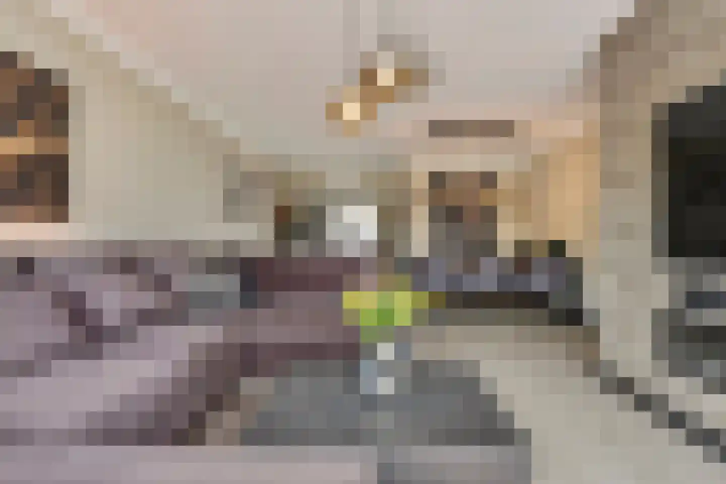 Besterdring 173 Tilburg thumbnail 4