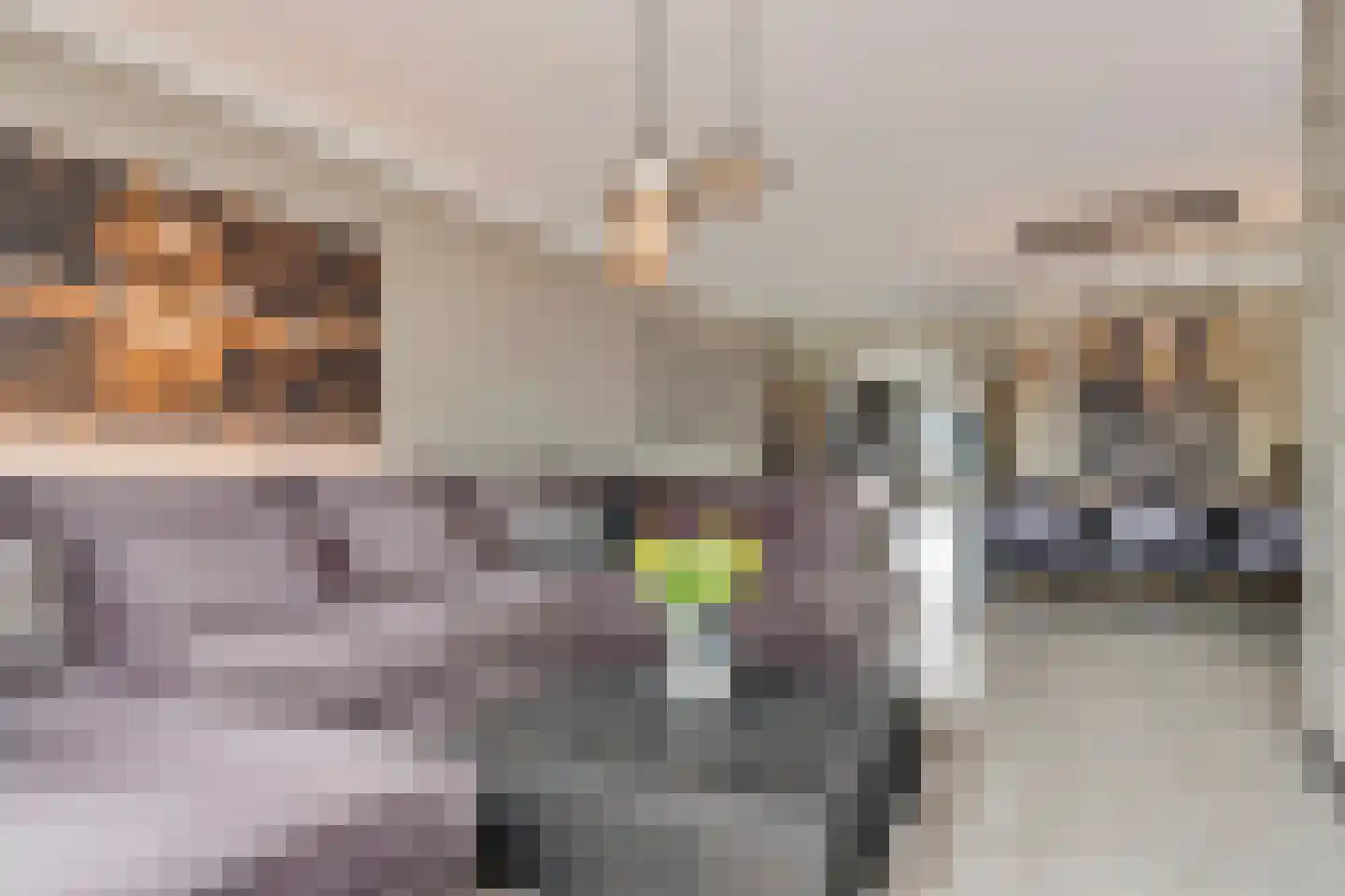 Besterdring 173 Tilburg thumbnail 7
