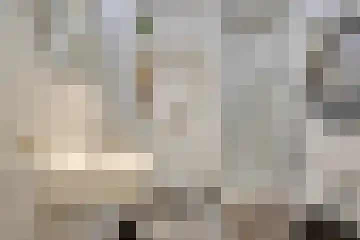 Besterdring 27 03 Tilburg thumbnail 14
