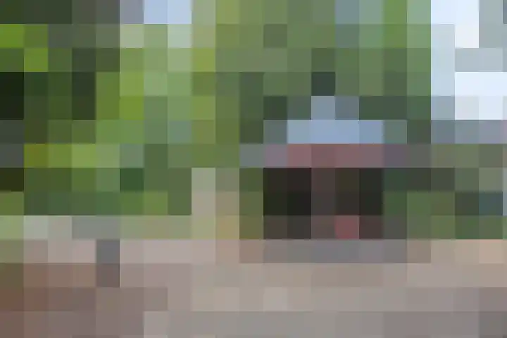 Besterdring 27 03 Tilburg thumbnail 19