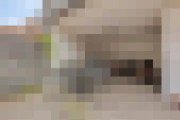 Besterdring 27 03 Tilburg thumbnail 22