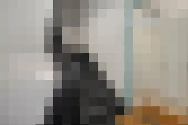 Besterdring 27 03 Tilburg thumbnail 6