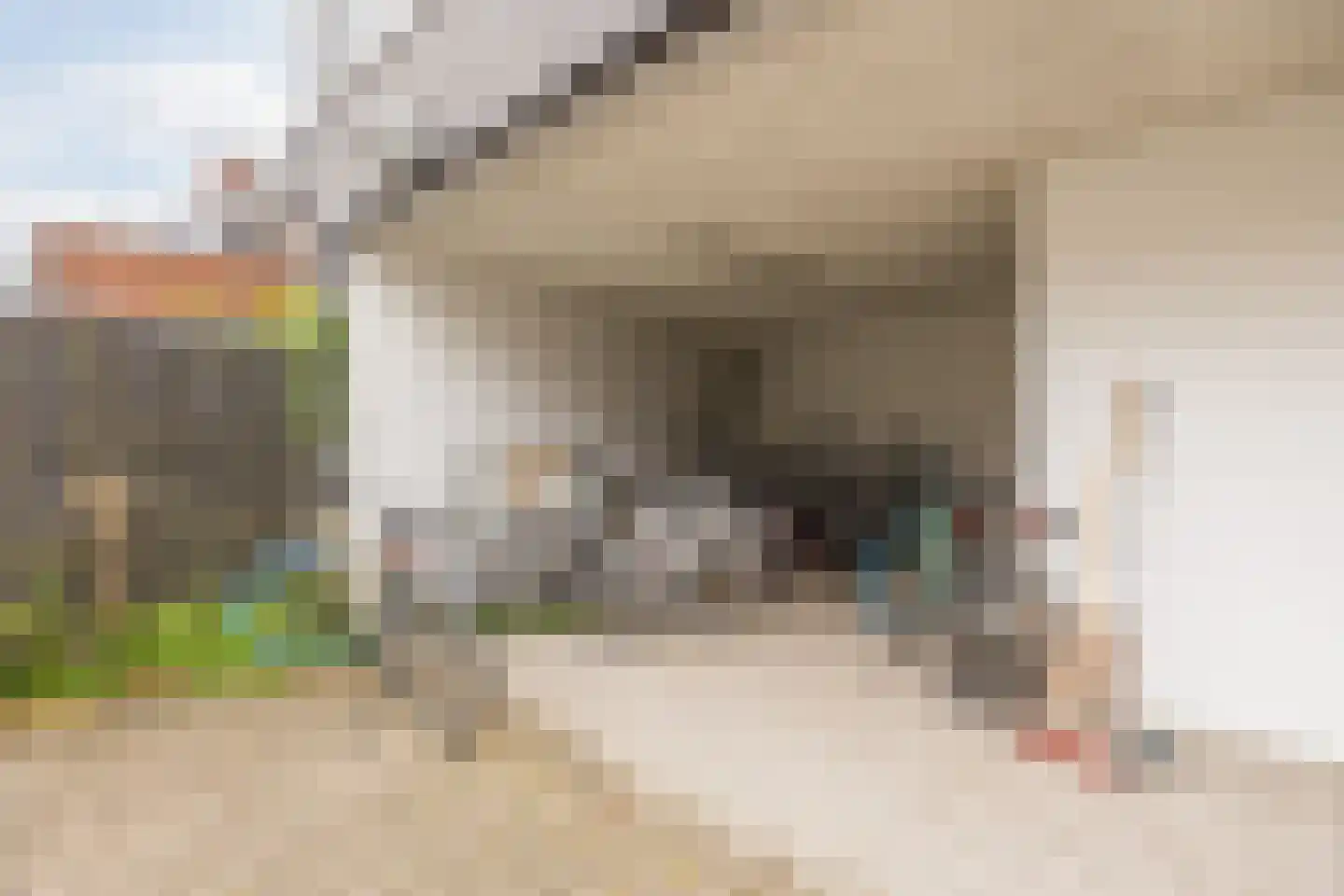 Besterdring 27 06 Tilburg thumbnail 18