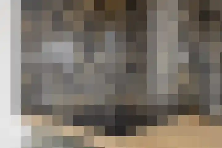 Besterdring 27 16 Tilburg thumbnail 12