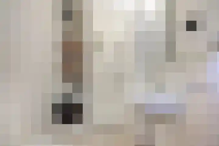 Besterdring 27 16 Tilburg foto 3