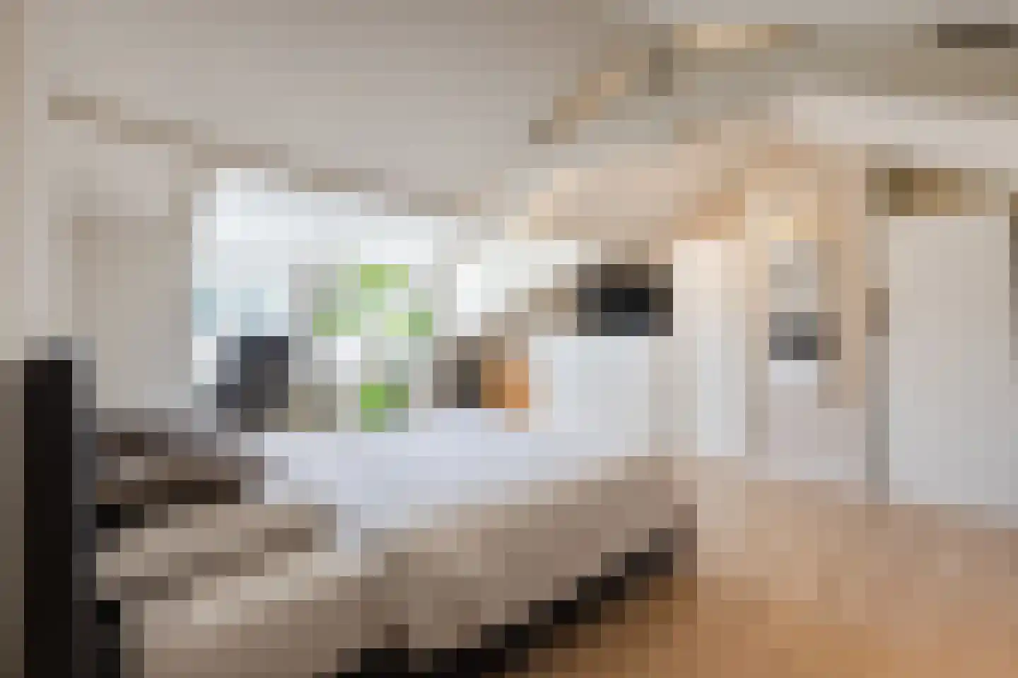 Besterdring 36 a Tilburg thumbnail 15