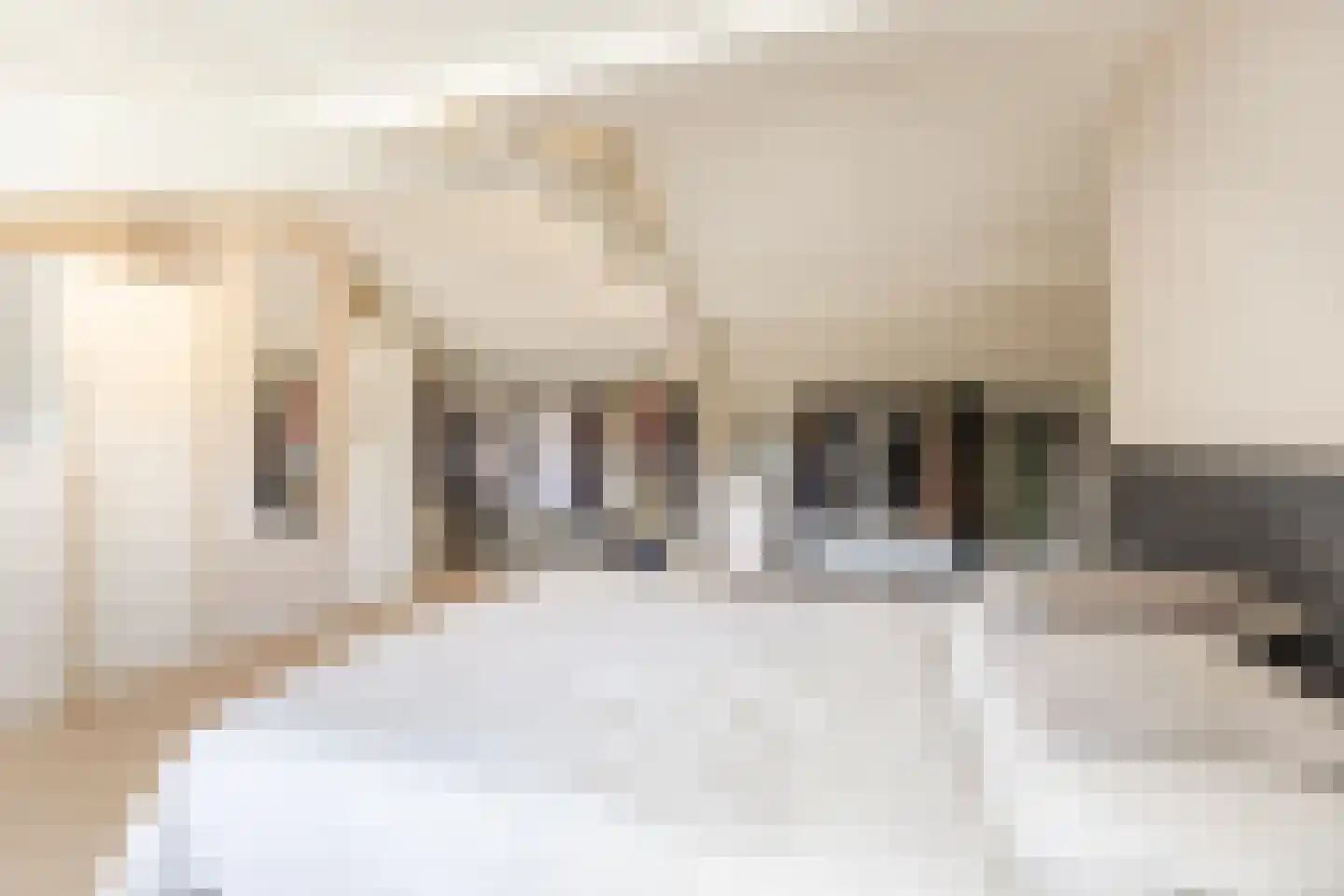 Besterdring 36 a Tilburg thumbnail 19