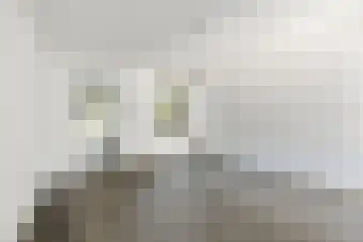Besterdring 39 Tilburg thumbnail 13