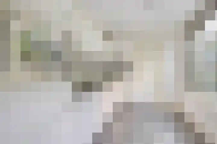 Besterdring 39 Tilburg thumbnail 15