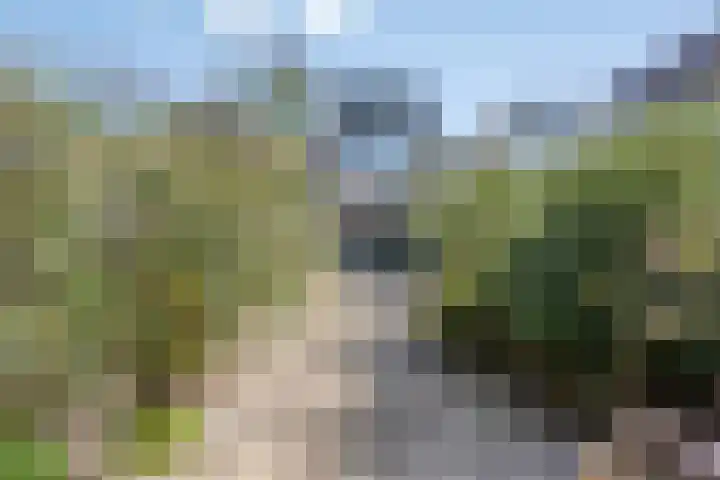 Besterdring 39 Tilburg thumbnail 25