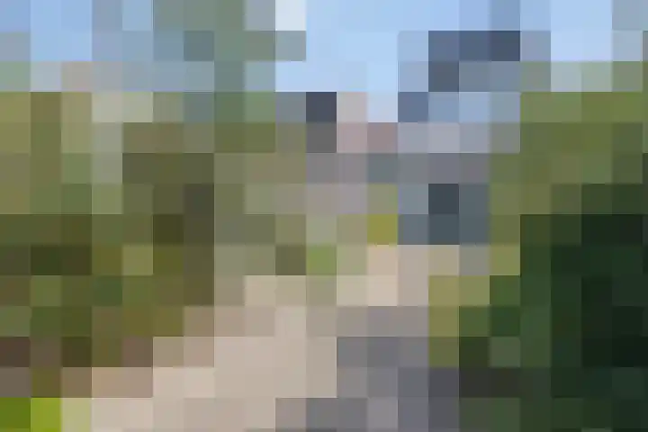 Besterdring 39 Tilburg thumbnail 26